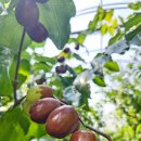 영근농장 이미지