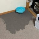 9월 시즈오카 날씨 및 후지산, 도쿄공대 컨퍼런스, 레오팔레스 에어컨 물난리, 일본 스타벅스 가격 및 꿀팁