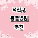 사라 양한방 동물병원 | 전주 덕진구 동물병원 추천 잘하는곳 24시 후기 야간진료 주말 가격 비용