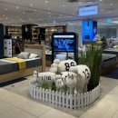 롯데백화점 구리점 이미지