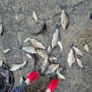 성호낚시터 이미지