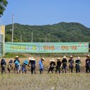 본량초등학교 더코리아