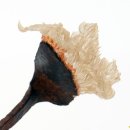 손톱예술 이미지