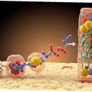 낯선하루 이미지