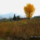 단양IC주유소 이미지