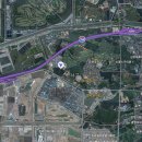 류사눌묘 이미지