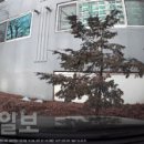 도봉-도봉-서울도봉-2434 이미지