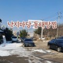 낙지마당동태탕찜 - 화성시 안녕동 | 낙지마당동태탕찜