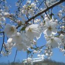 즐거운 노래방 이미지