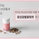 버킷바디 이미지