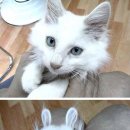 이쁘지요 이미지