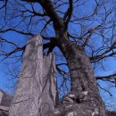 성주카프라자 이미지