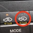 (운전상식) 운전자 90%가 안 끄는 '이 버튼' 이미지