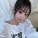 시연#