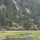 나무와 해(海) | 중국 구채구 관광지 여행정보 정리 | 예약, 여행코스, 소요시간, 옷차림, tip