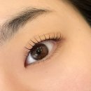 라보떼 | 신림 속눈썹펌 무쌍 포인트 연장 잘하는 곳 라보떼래쉬 후기