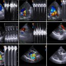 이노동물병원 이미지