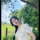 댕스타 Daum카페