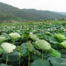 삼지수변공원 네이버블로그