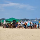 정암토종닭 | 정암해변 조개잡이 축제 구경 (22년 여름휴가 Ⅲ)