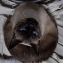 새로나경로당 | 2025 마름달