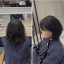 와이즈헤어 - 수원시 영통구 | 여자 중단발펌 하고 분위기 바뀐 날, 준오헤어 위례송파와이즈더샵점 후기