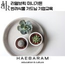원예문화진흥원(주) | 리얼브릭 미니가든, 반려식물 원예치료 리프레시 프로그램