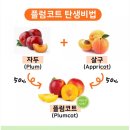 버드네농장 이미지