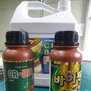 삼싹농장 이미지