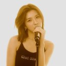 배이 카카오 검색결과