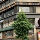 헤어펠리스 이미지