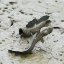 다산농업협동조합 이미지