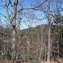 생활명리 이미지