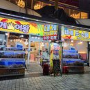 속초대게여왕 이미지