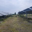 신산리 태양광발전소 이미지