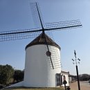 테마파크 | 제주도 겨울 동쪽 에코랜드 테마파크 후기