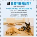 아이위드유치원 네이버블로그