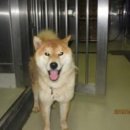 보건소(우) 이미지