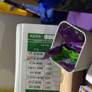 누즐붕
