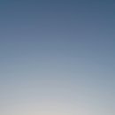 코끼리셀프 이미지