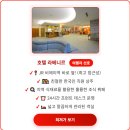 클로버렌트카 | 홋카이도 비에이 후라노 숙소 특징별 정리 조식 뷰 맛집 호텔 펜션 후기