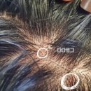 케이팜약국 이미지