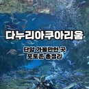 하나로 플라워 수족관 | 단양 가볼 만한 곳 다누리아쿠아리움 l 아시아 최대 규모 생태관 완벽 후기