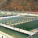 비상낚시터 이미지