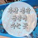 포인트실내낚시카페낚시터 이미지