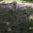 모량농장 이미지