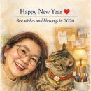 미드미(midmi) 이미지