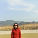 순천만 힐링 이미지