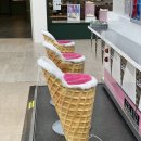 선데이로스트