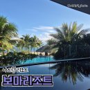 비품닷컴 | 나트랑 보마 리조트 어썸룸 2층 트립닷컴 내돈내산 수영장 후기